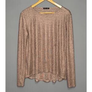 Zara Shimmer Rose Top Size: Medium